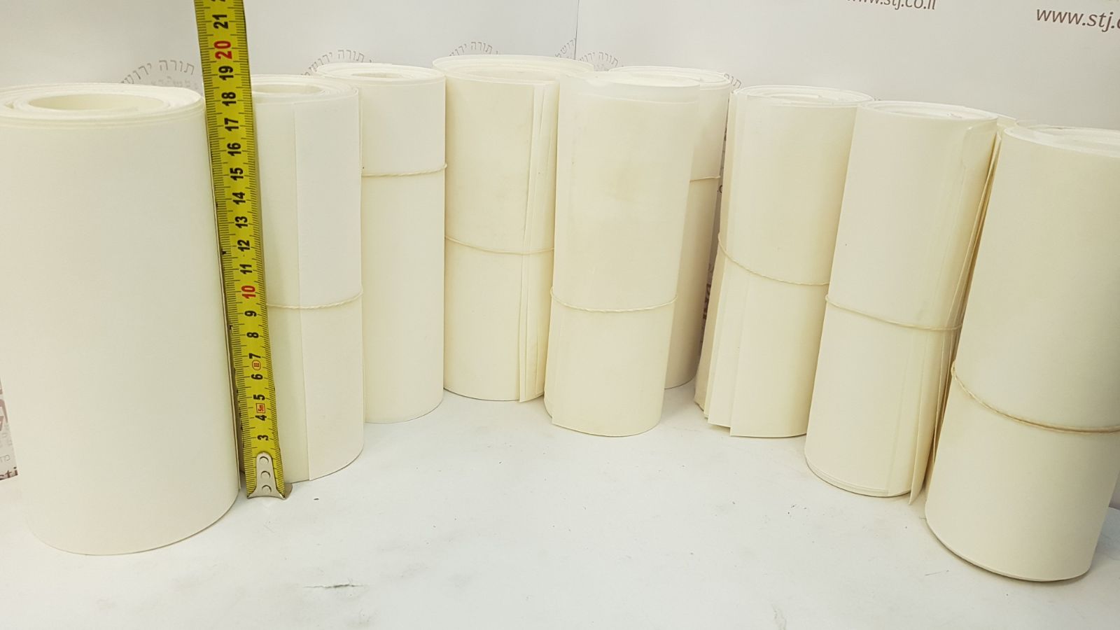 Parchment for Megillah 18 cm Height
