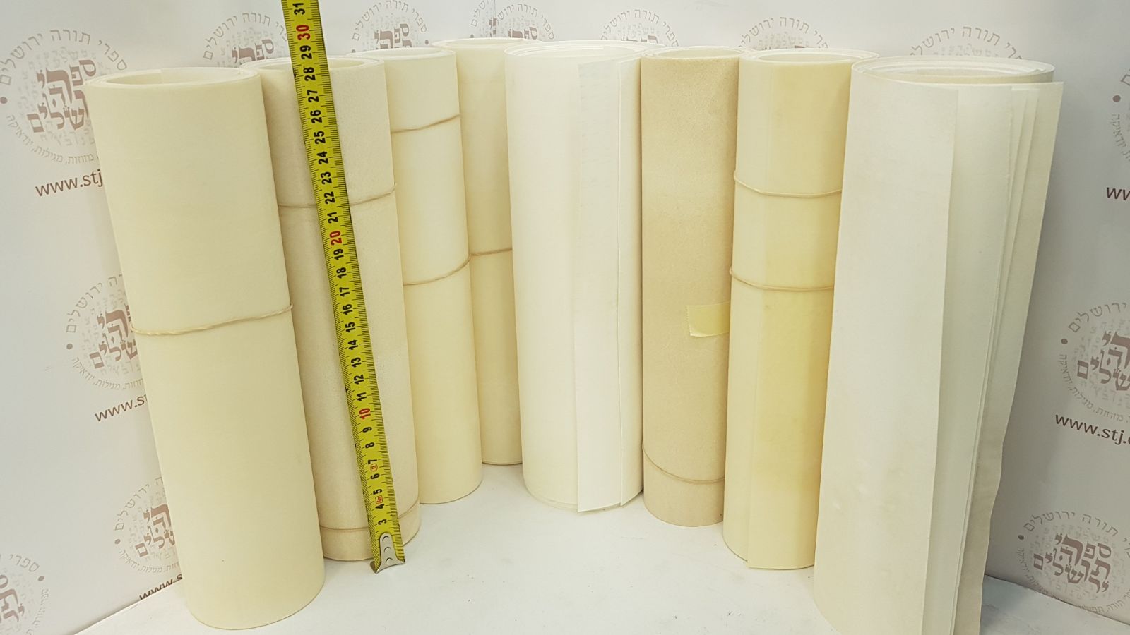 Parchment for Megillah 28 cm Height