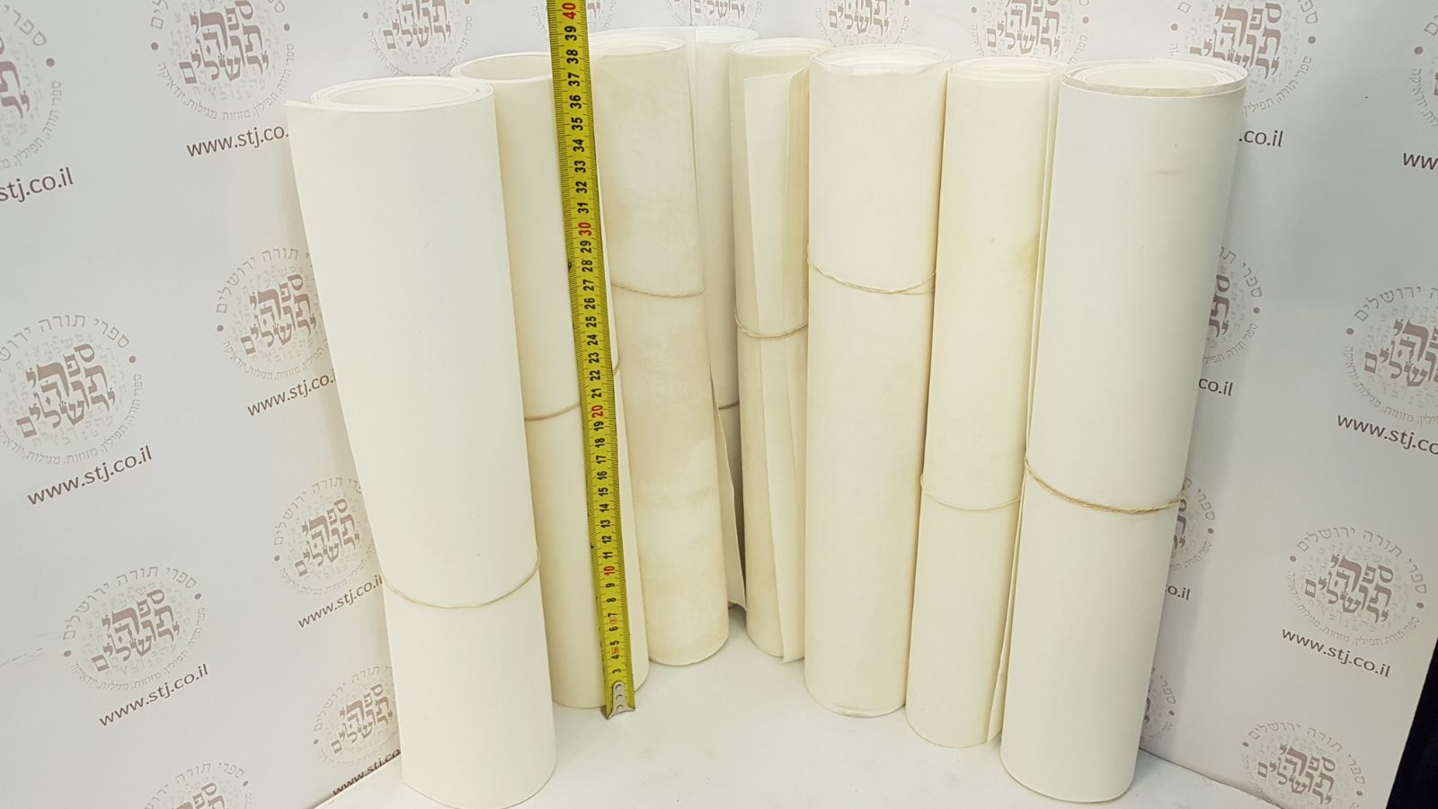 Parchment for Megillah 37 cm Height