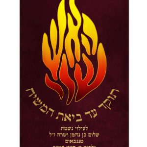 מעיל קטיפה - האש שלי