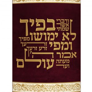 Velvet Torah Mantle - Typography and Words