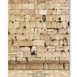 Velvet Parochet - Realistic Wall
