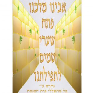 Velvet Torah Mantle - Western Wall 3D - Gold