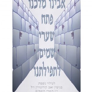 Velvet Torah Mantle - Western Wall 3D - Silver