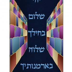 Velvet Torah Mantle - Western Wall 3D - Multicolor