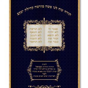 Velvet Parochet - Splendid Tablets
