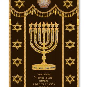 Velvet Parochet - For the Conductor and Star of David