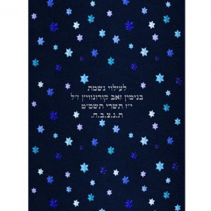 Velvet Torah Mantle - Shield of David Stars - Silver