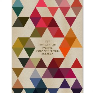 Velvet Parochet - Modern Star of David Triangles