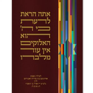 Velvet Parochet - Modern Star of David Colorful Stripes Ariel