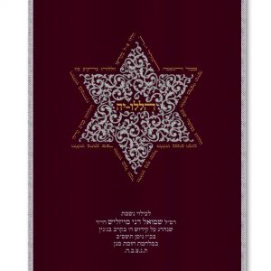 Velvet Parochet - Ornate Star of David