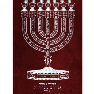 Velvet Torah Mantle – LaMenatzeach Menorah Silver