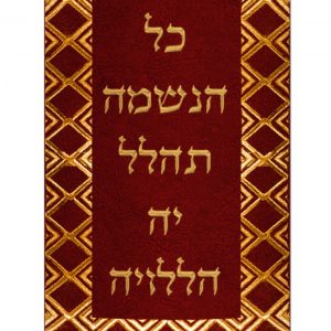 Velvet Torah Mantle - Border - Gold