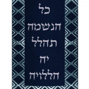 Velvet Torah Mantle - Border - Silver