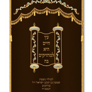 Velvet Parochet - Etz Chaim Torah