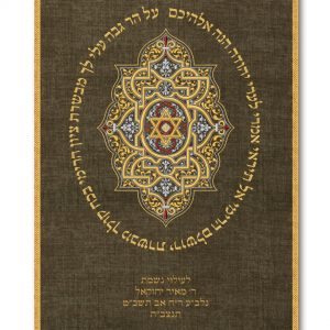 Velvet Parochet - Moroccan Ornament 2