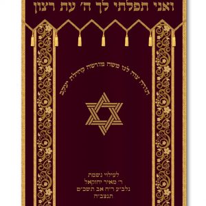 Velvet Parochet - Ornaments and Star of David