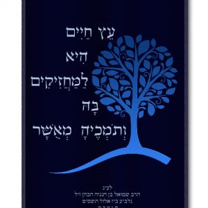 Velvet Parochet - Etz Chaim Modern