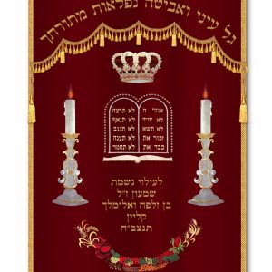 Velvet Parochet - Candelabra Gold