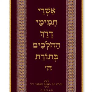 Velvet Parochet - Yemenite Stripes