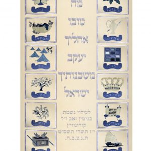 Velvet Torah Mantle - Twelve Tribes - Silver Rows