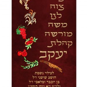 Velvet Torah Mantle - Seven Species