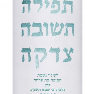 מעיל קטיפה - תפילה ותשובה וצדקה