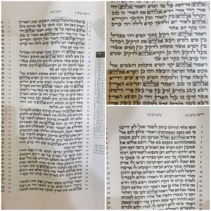 Transparencies for Sefer Torah Sephardic 56 cm on Sale
