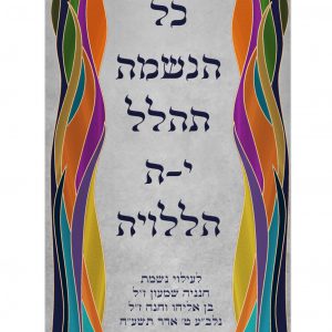מעיל קטיפה- הללויה צבעוני