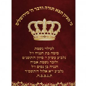 מעיל קטיפה -כתר ועיטור אורנמנטלי זהב