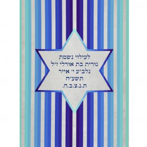 Velvet Parochet - Modern Blue Stripes