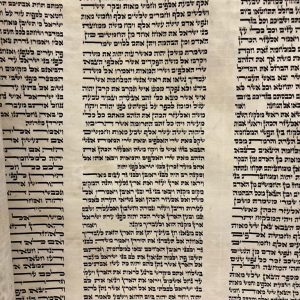 Restored Sefer Torah Arizal Height 50 cm SKU 17