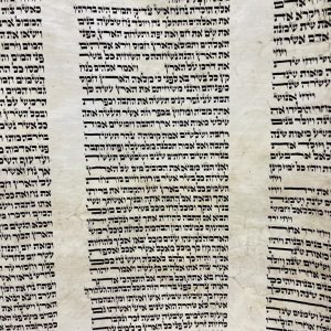 Restored Sefer Torah Arizal Height 50 cm SKU 20