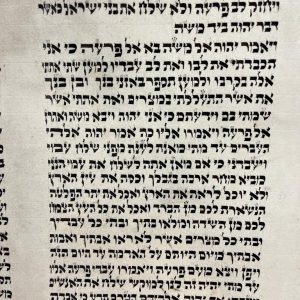 Renewed Sefer Torah Ashkenazi 48 cm SKU 24