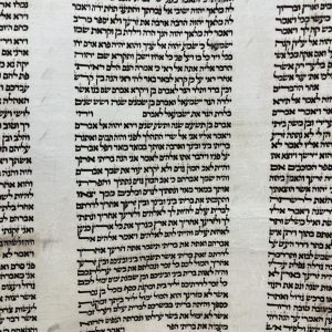 Renewed Sefer Torah Rare and Special Dutch Script 52 cm SKU 30