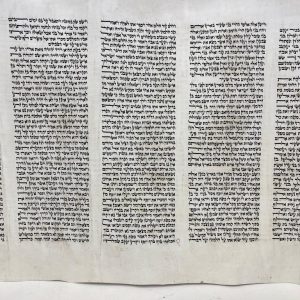 Sefer Torah Sephardic Anointed height 40 cm SKU 40