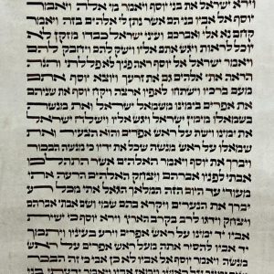 Sefer Torah Ashkenazi height 60 cm SKU 39