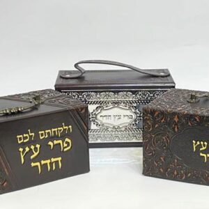 Mehudar Case for Etrog