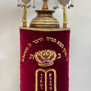 Torah Case