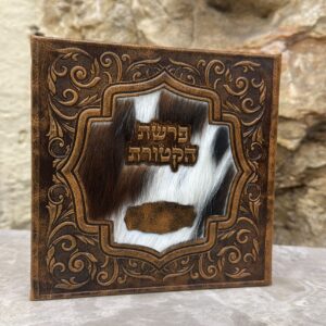 Cover for Pitum HaKetoret Model Tefillin 15 cm