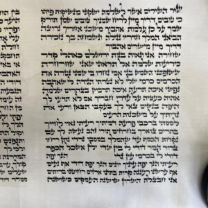 Megillat Shir HaShirim Ashkenaz 28 cm