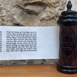 Megillat Esther Sephardic, Premium Mehudar, 11 Lines, Cat. 563
