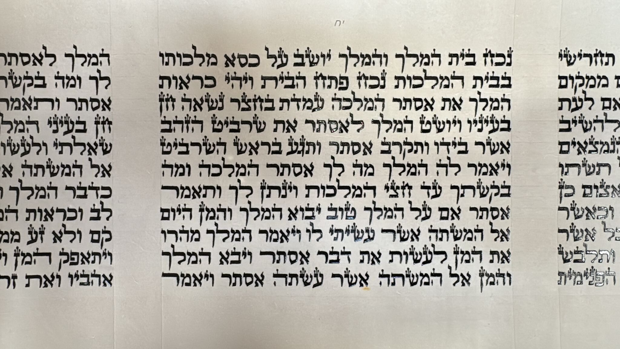 Megillat Esther Sephardic, Premium Mehudar, 11 Lines, Cat. 563 - Image 5