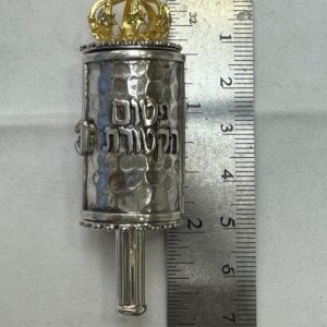 Magnificent Silver Case for Pitum HaKetoret