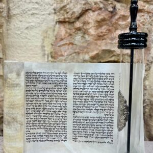 Megillah Sephardic 28 Lines, 37 cm, Cat. 583