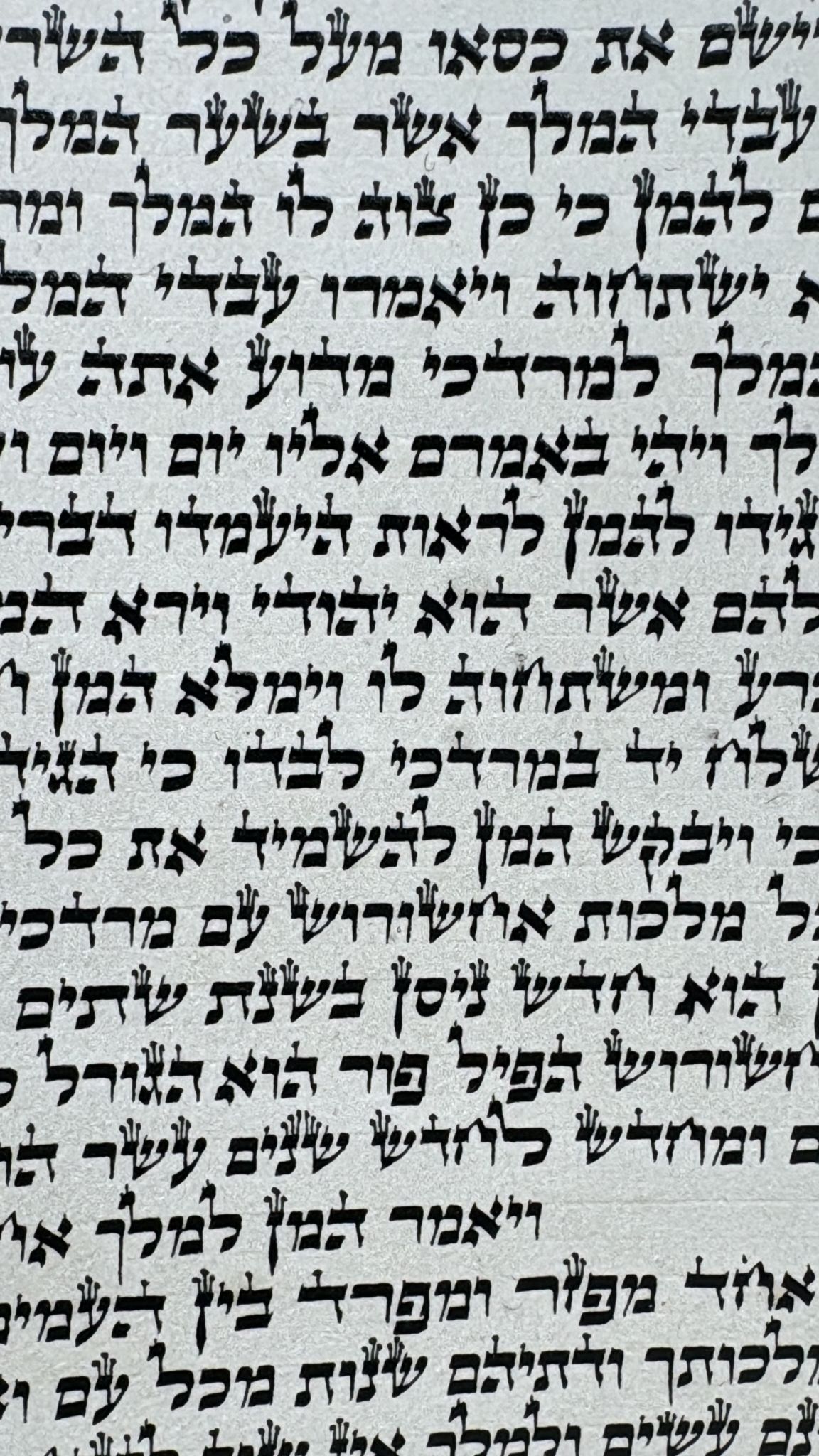 Megillah Arizal 21 Lines Cat. 636 - Image 4