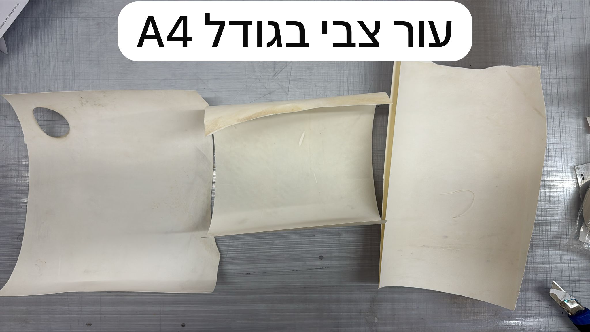 leather Deer for Writing Amulets size Width 15 height 15 cm (העתק)