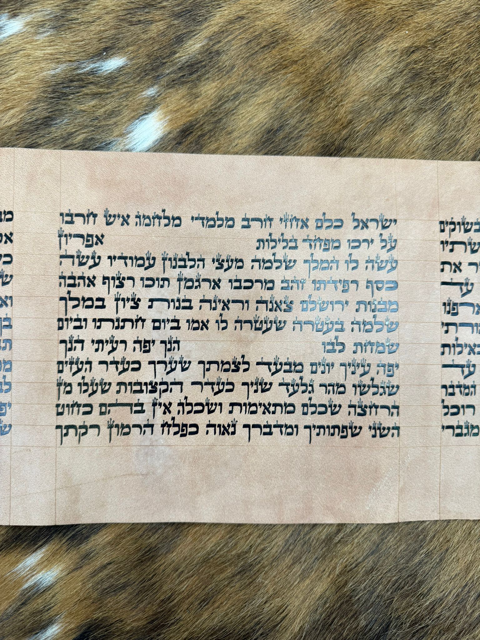 Megillat Shir HaShirim on Gevil 18 cm (העתק) - Image 5