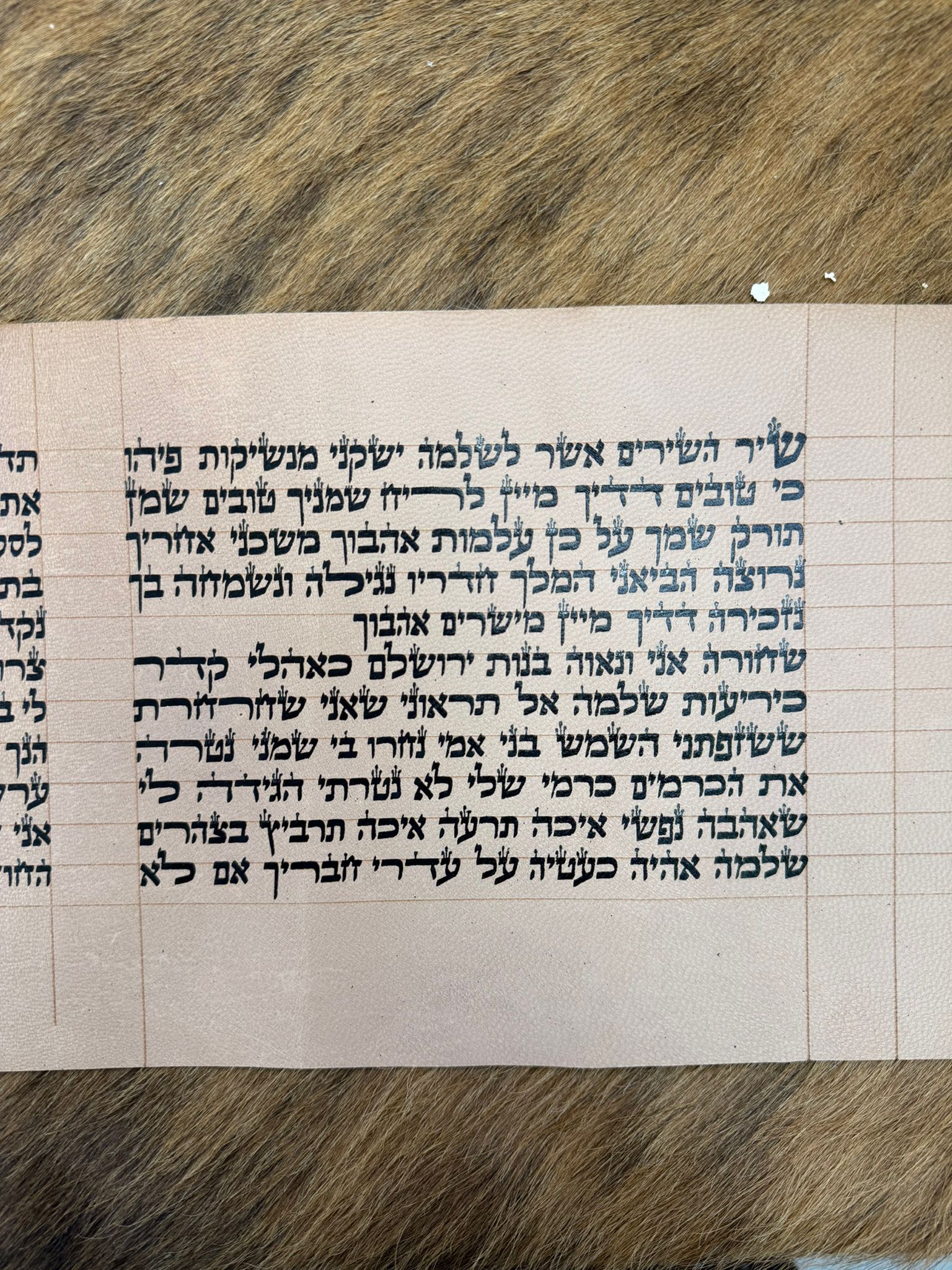 Megillat Shir HaShirim on Gevil 18 cm (העתק) - Image 4