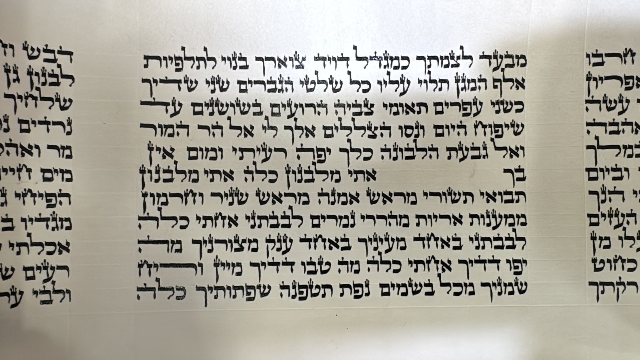 Megillat Shir HaShirim on Gevil 18 cm (העתק) (העתק) - Image 2
